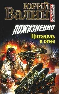 Юрий Валин - Пожизненно. Цитадель в огне