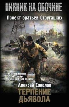 Алексей Соколов - Терпение дьявола [litres]