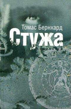 Томас Бернхард - Стужа