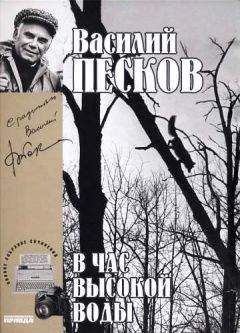 Василий Песков - Полное собрание сочинений. Том 16. В час высокой воды