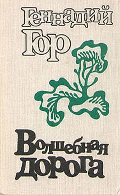 Геннадий Гор - Волшебная дорога (сборник)