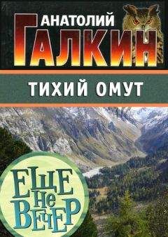 Анатолий Галкин - Тихий омут