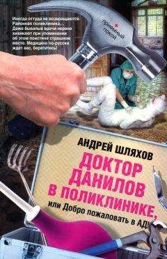Андрей Шляхов - Доктор Данилов в поликлинике или Добро пожаловать в ад!