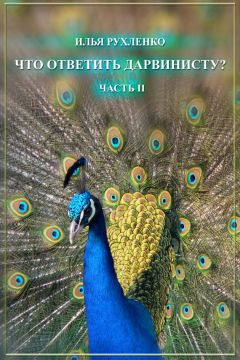 Илья Рухленко - Что ответить дарвинисту? Часть II