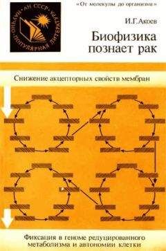 Инал Акоев - Биофизика познает рак