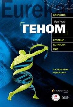 Мэтт Ридли - Геном: автобиография вида в 23 главах
