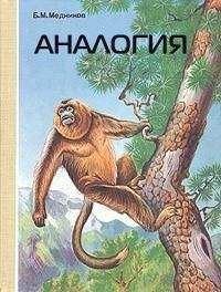 Борис Медников - Аналогия