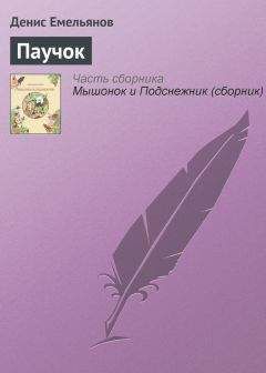 Денис Емельянов - Паучок