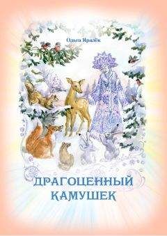 Ольга Яралек - Драгоценный камушек