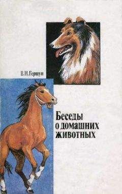 Владимир Гершун - Любящие нас больше, чем себя