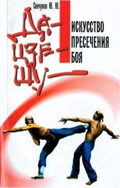 Юрий Сенчуков - Да-цзе-шу — искусство пресечения боя