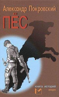 Александр Покровский - Пес. Книга историй