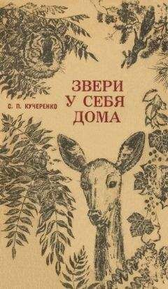 Сергей Кучеренко - Звери у себя дома