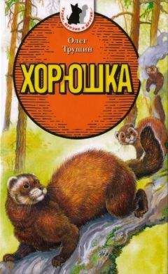 Олег Трушин - Хорюшка