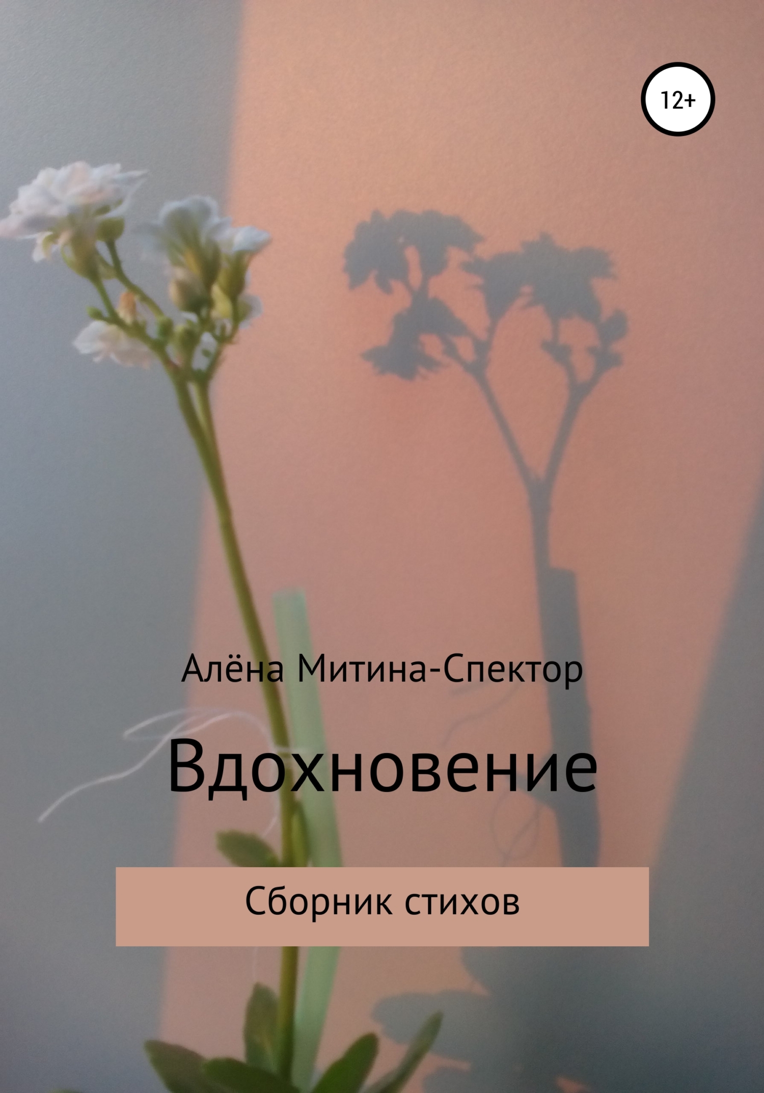 Вдохновение - Алёна Митина-Спектор