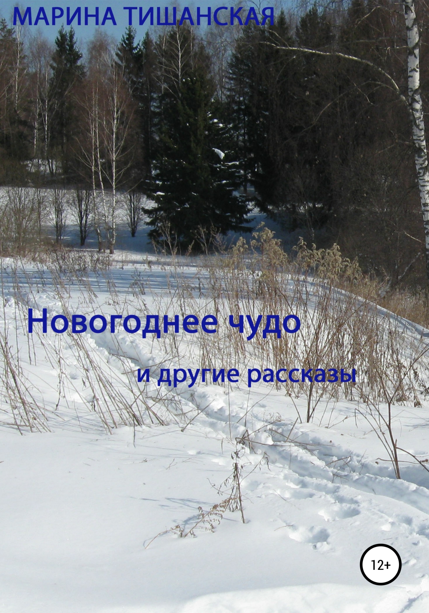 Новогоднее чудо и другие рассказы - Марина Антоновна Тишанская