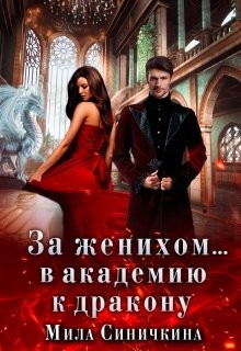 За женихом... В академию к дракону (СИ) - Синичкина Мила