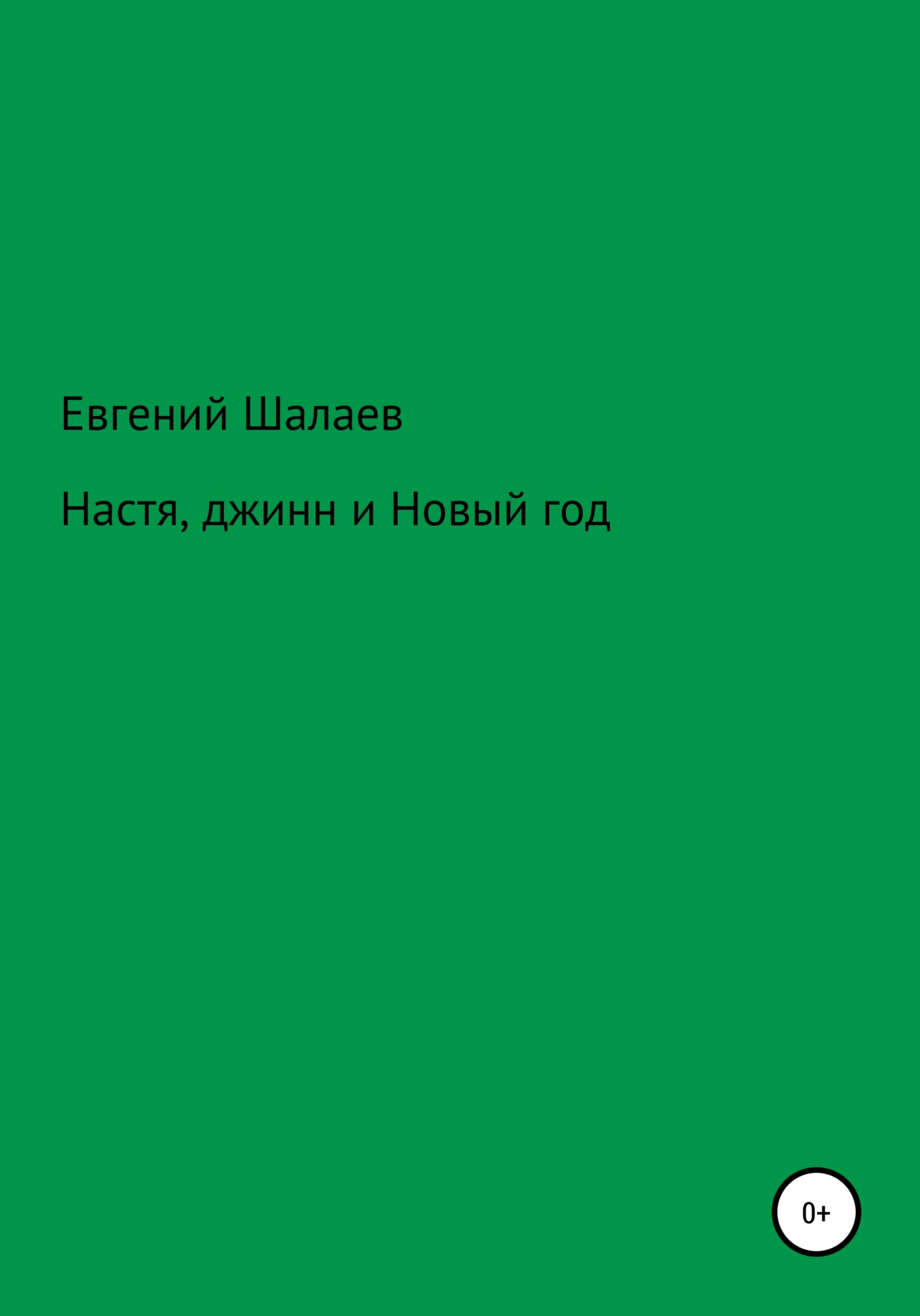 Настя, джинн и Новый год - Евгений Викторович Шалаев