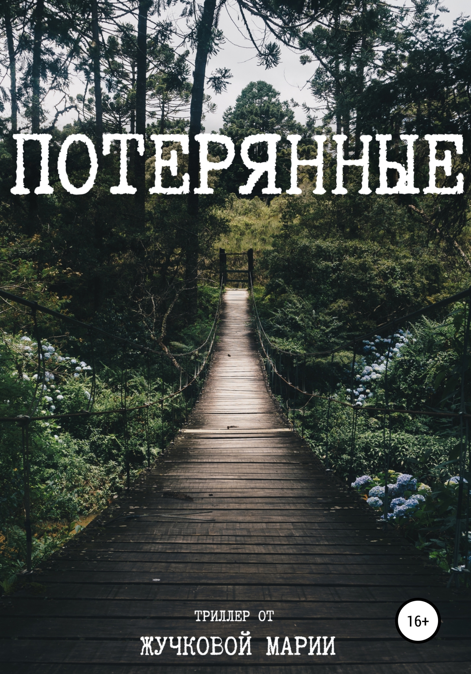 Потерянные - Мария Жучкова