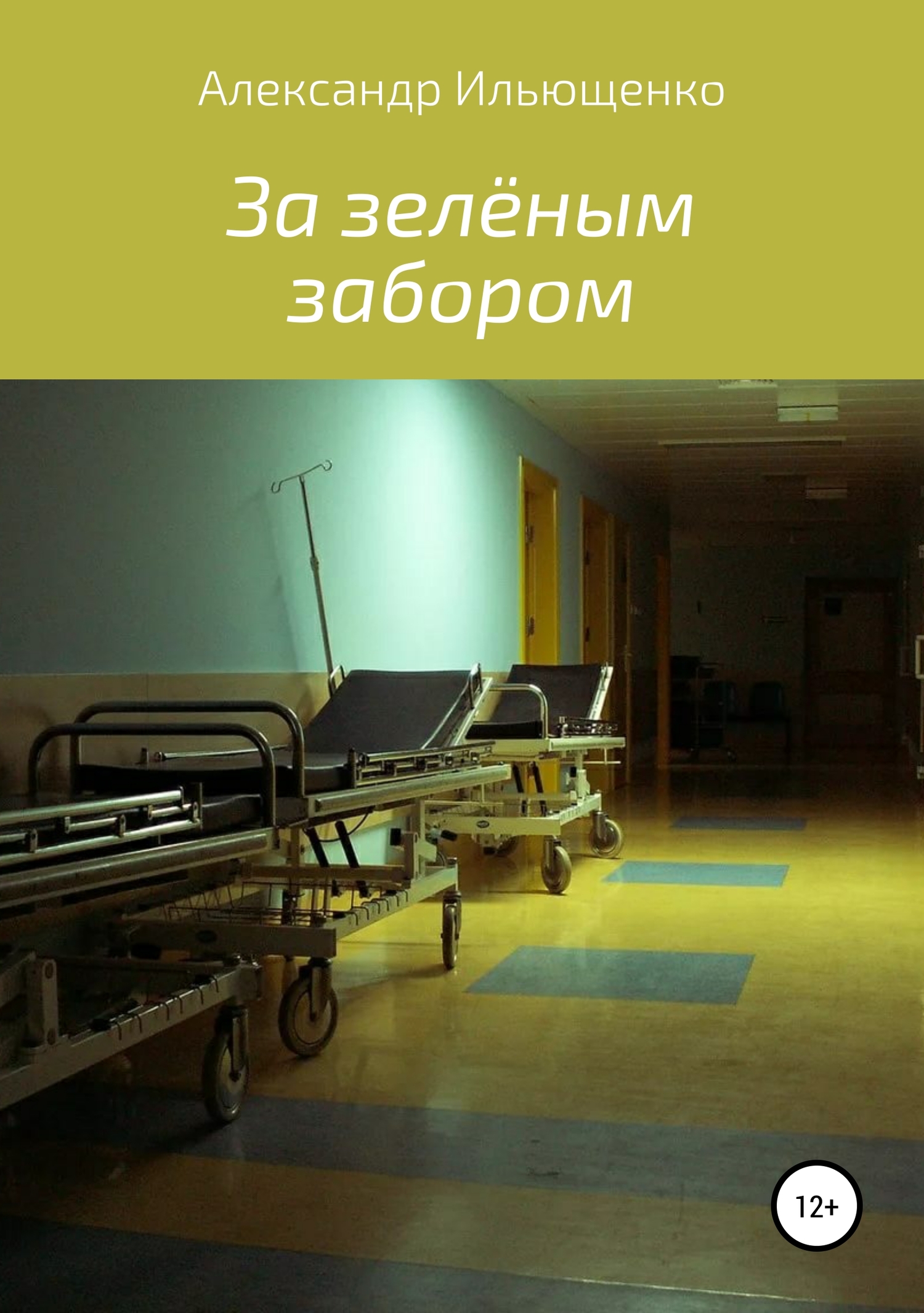 За зелёным забором - Александр Юрьевич Ильющенко