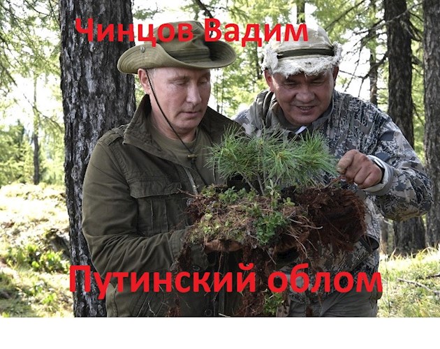 Путинский облом - Вадим Владимирович Чинцов