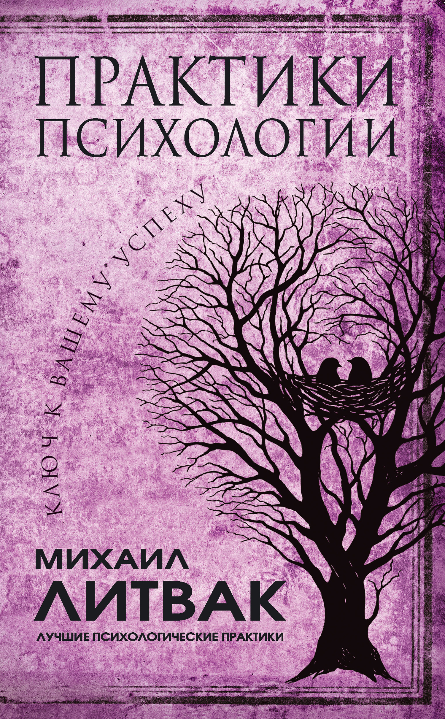 Практики психологии. Ключ к вашему успеху - Михаил Ефимович Литвак
