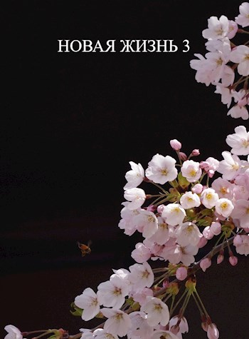 Новая жизнь 3 - Виталий Хонихоев