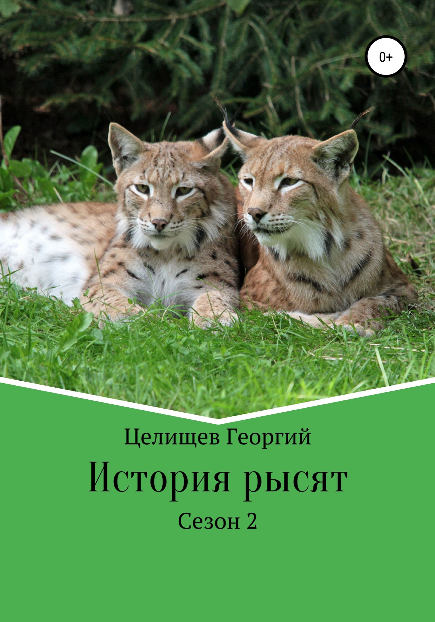 История рысят. 2 сезон - Георгий Целищев