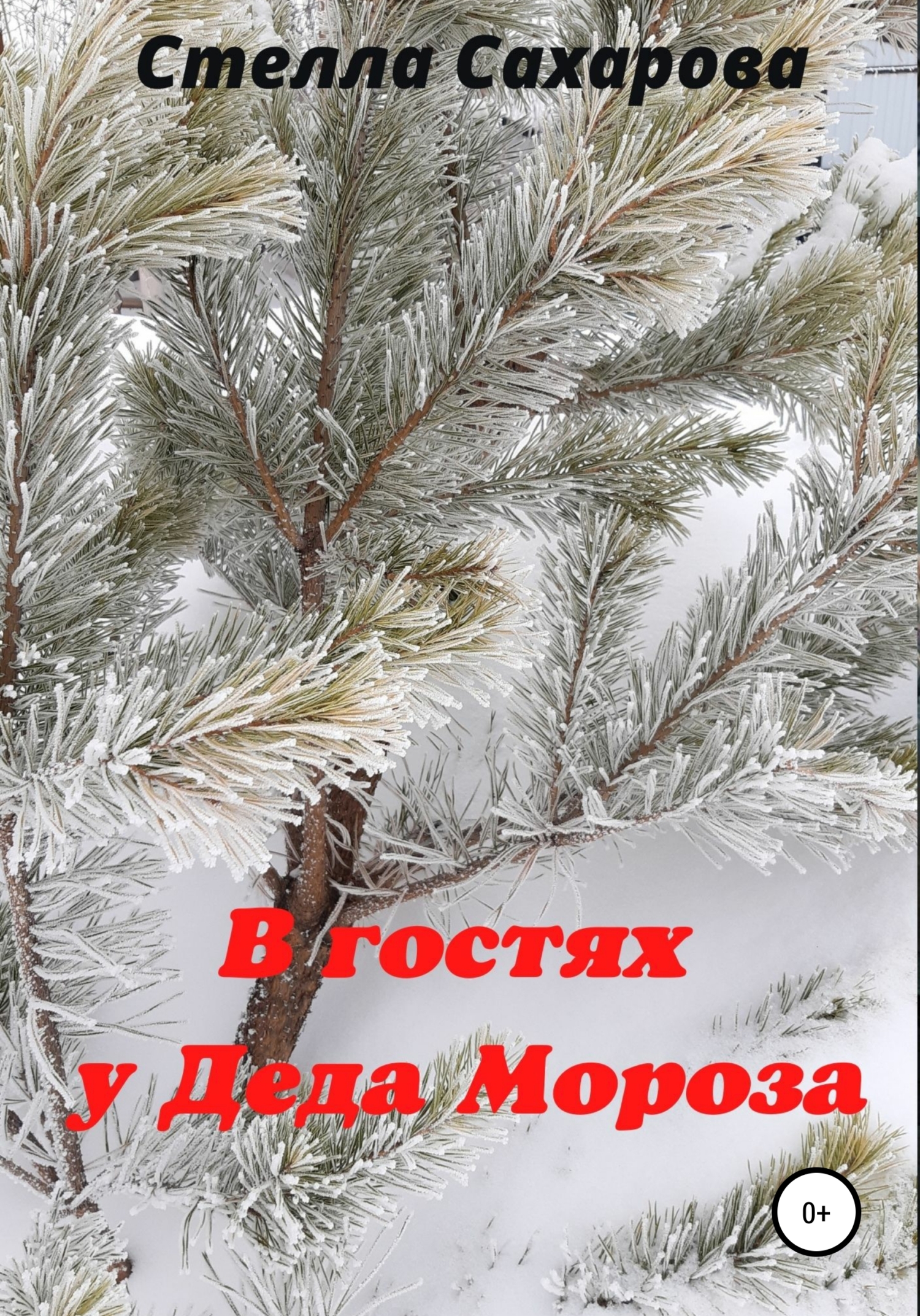В гостях у Деда Мороза - Стелла Сахарова