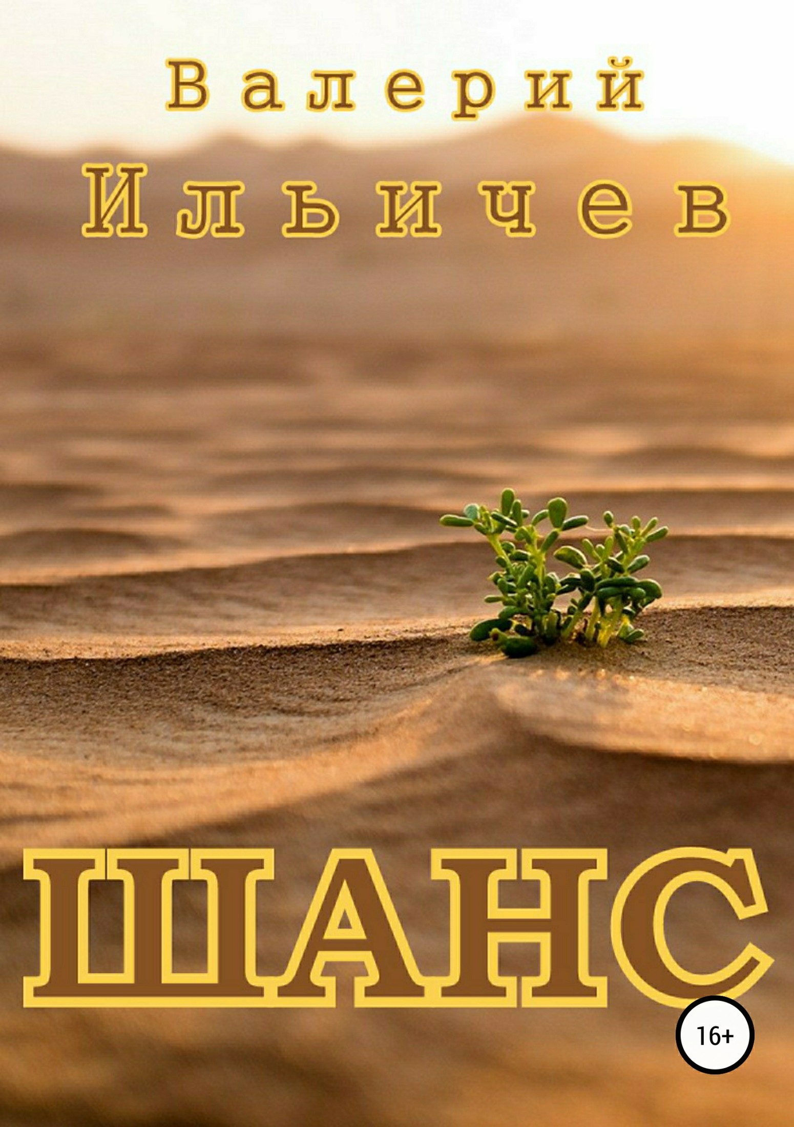 Шанс - Валерий Аркадьевич Ильичёв