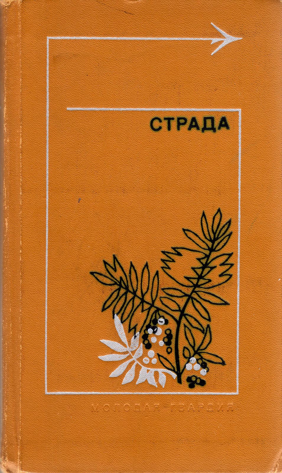 Страда - Анатолий Стреляный