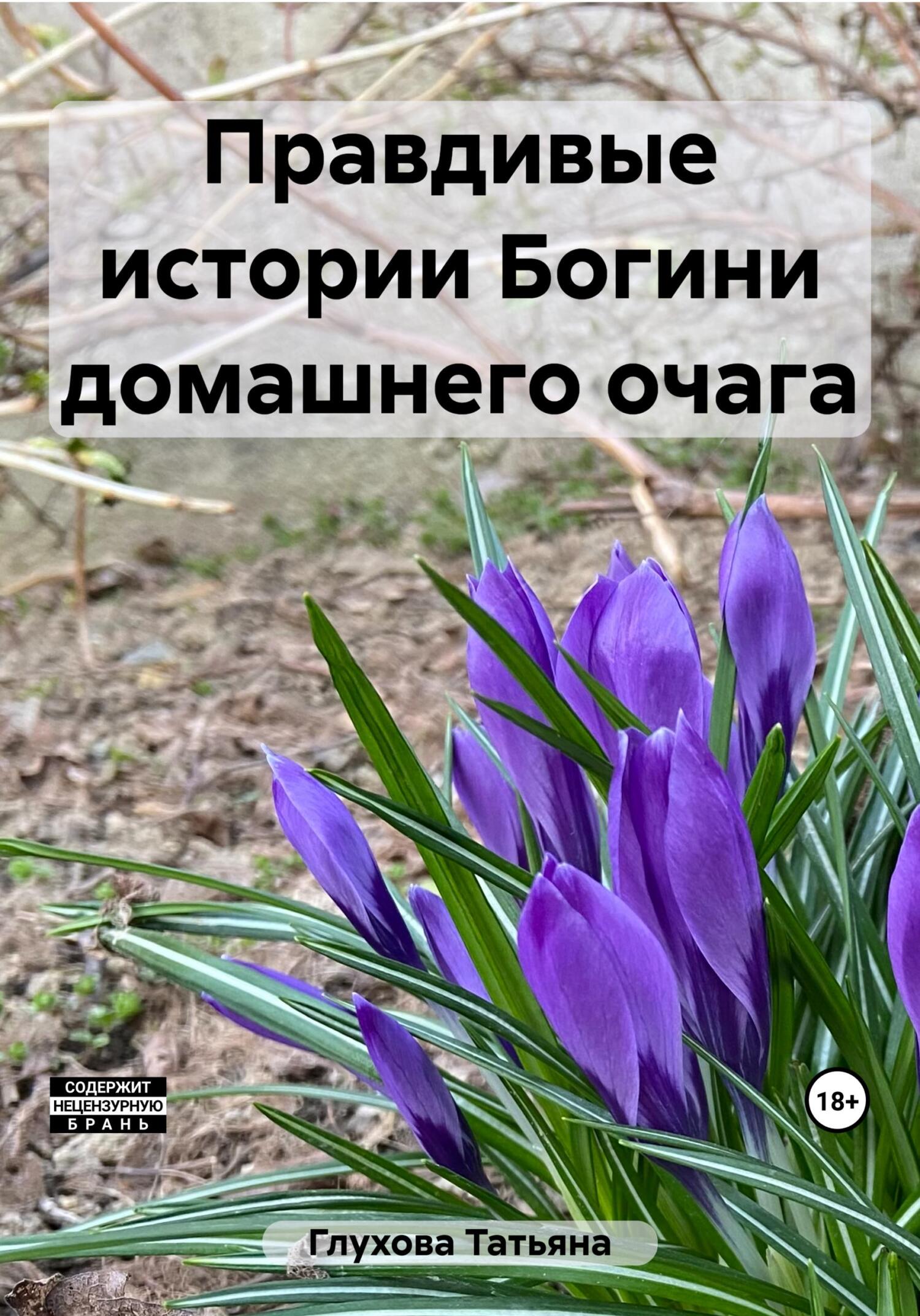 Правдивые истории Богини домашнего очага - Татьяна Глухова