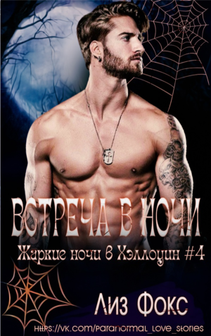 Встреча в ночи - Лиз Фокс