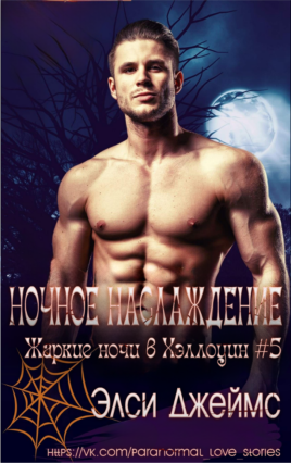 Ночные наслаждения - Элси Джеймс