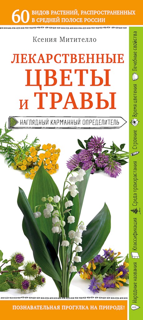 Лекарственные цветы и травы. Наглядный карманный определитель - Ксения Борисовна Митителло