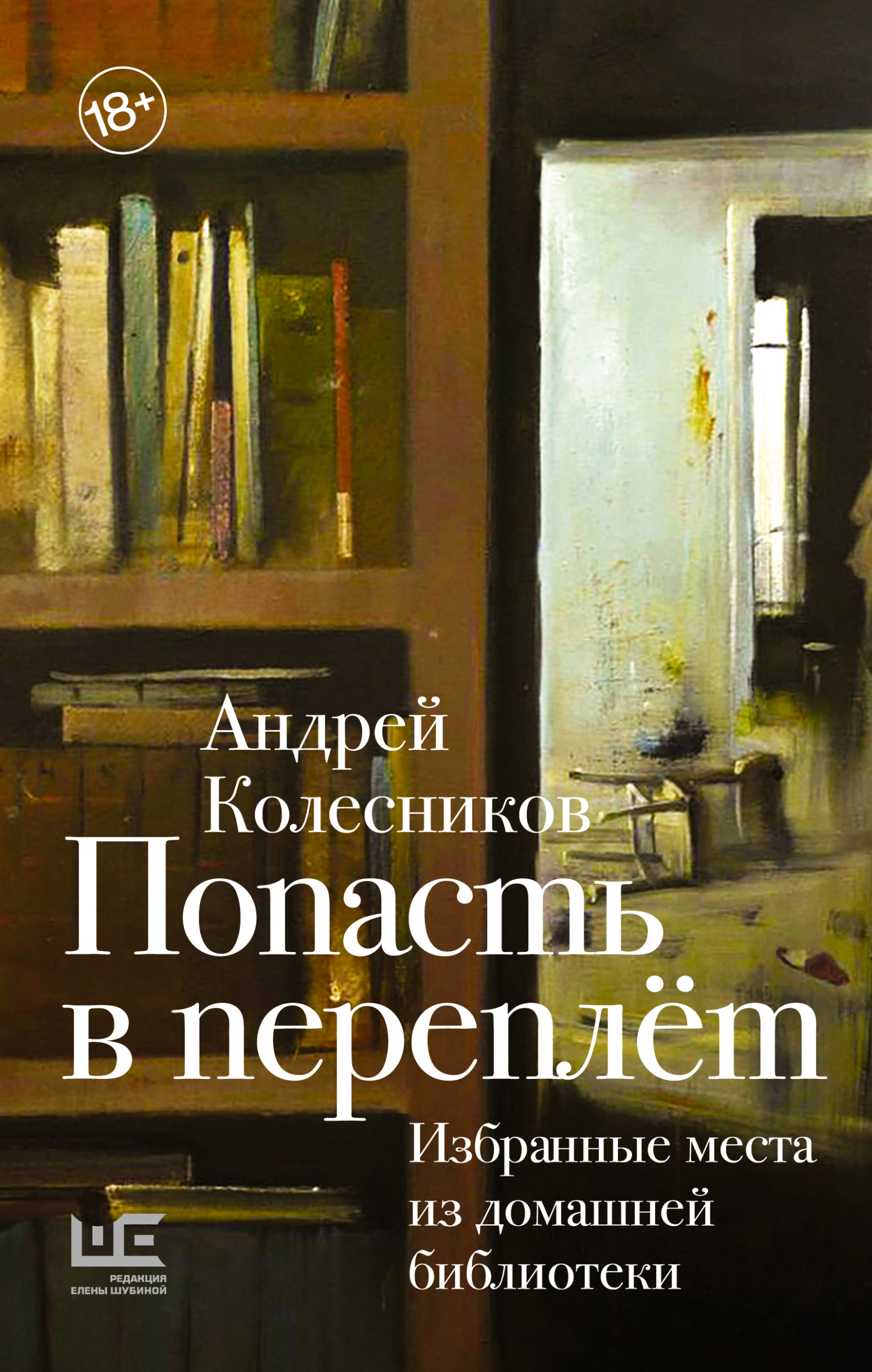 Попасть в переплёт. Избранные места из домашней библиотеки - Андрей Владимирович Колесников