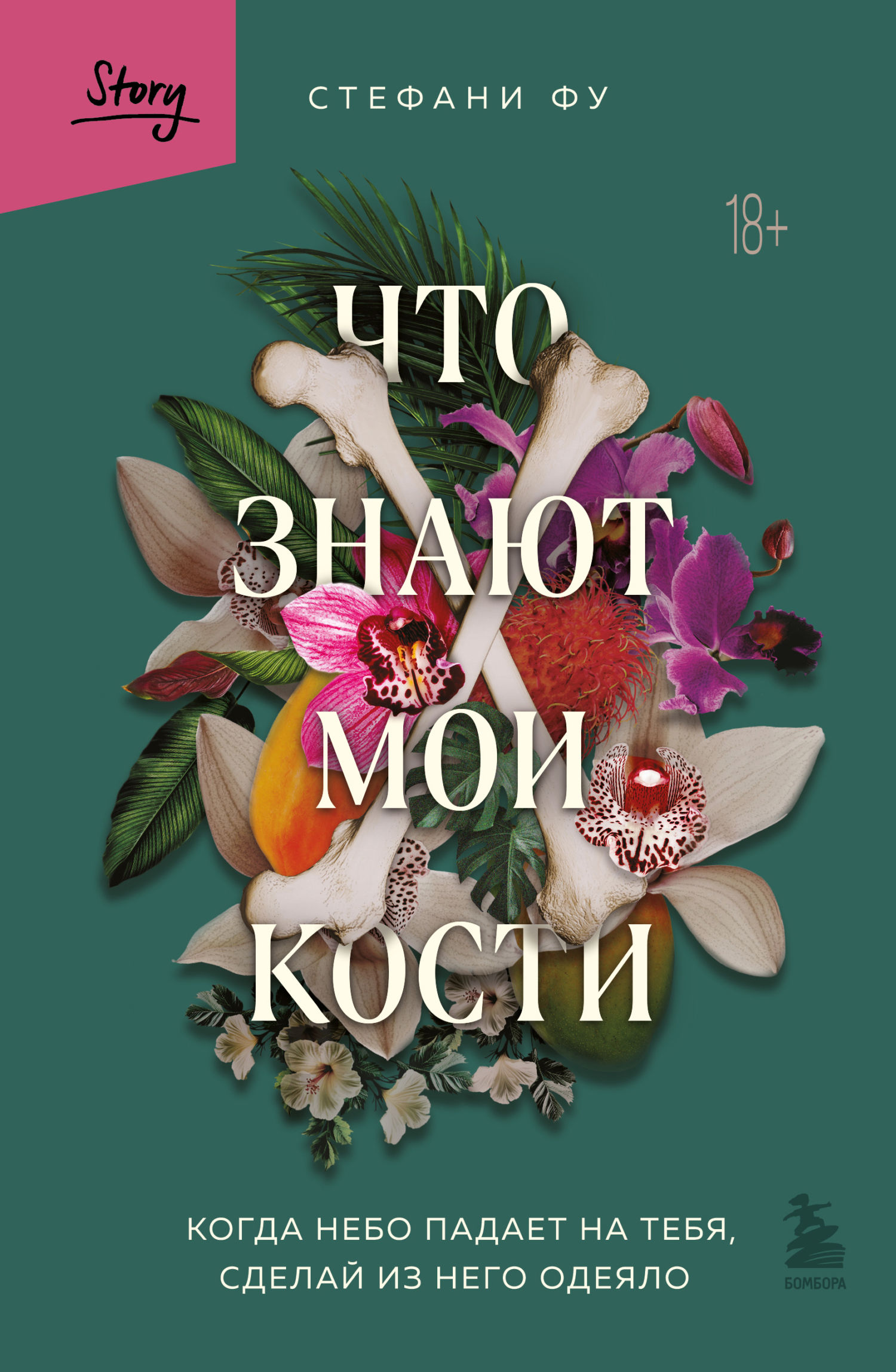 Что знают мои кости. Когда небо падает на тебя, сделай из него одеяло - Стефани Фу