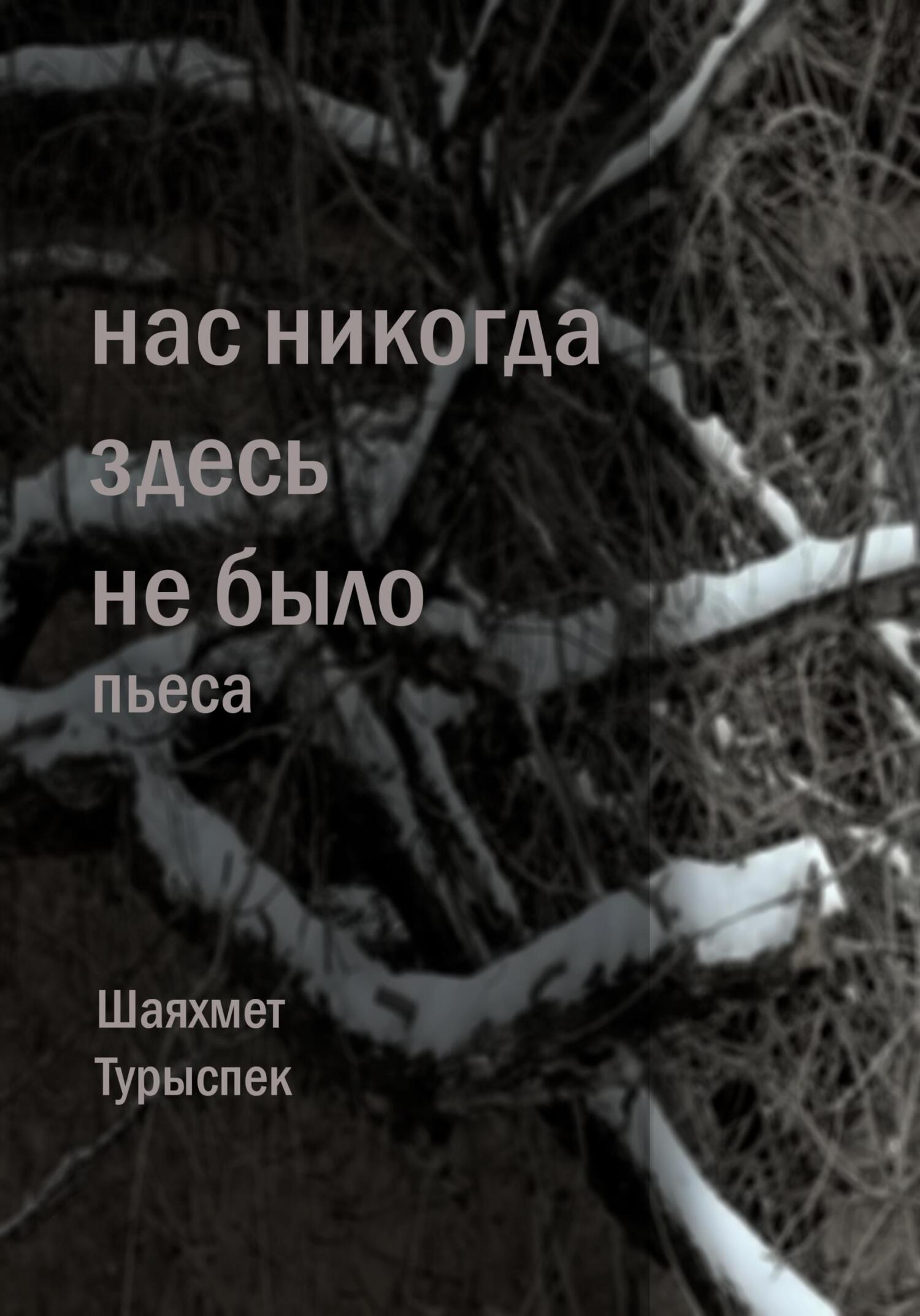 Нас никогда здесь не было - Шаяхмет Турыспек
