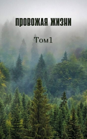 Провожая жизни. Том 1 (СИ) - Loki