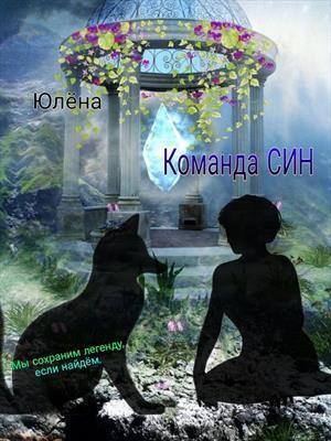Команда Син или, А вы как думали? (СИ) - Юлёна Тимонина