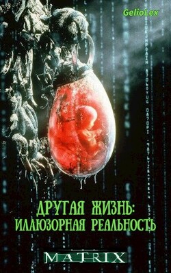 Другая жизнь: Иллюзорная реальность (СИ) - GelioLex