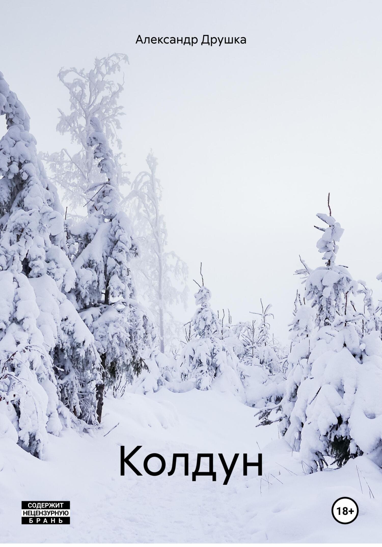 Колдун - Александр Друшка