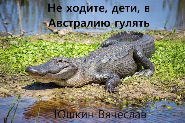 Не ходите, дети, в Австралию гулять - Вячеслав Юшкин