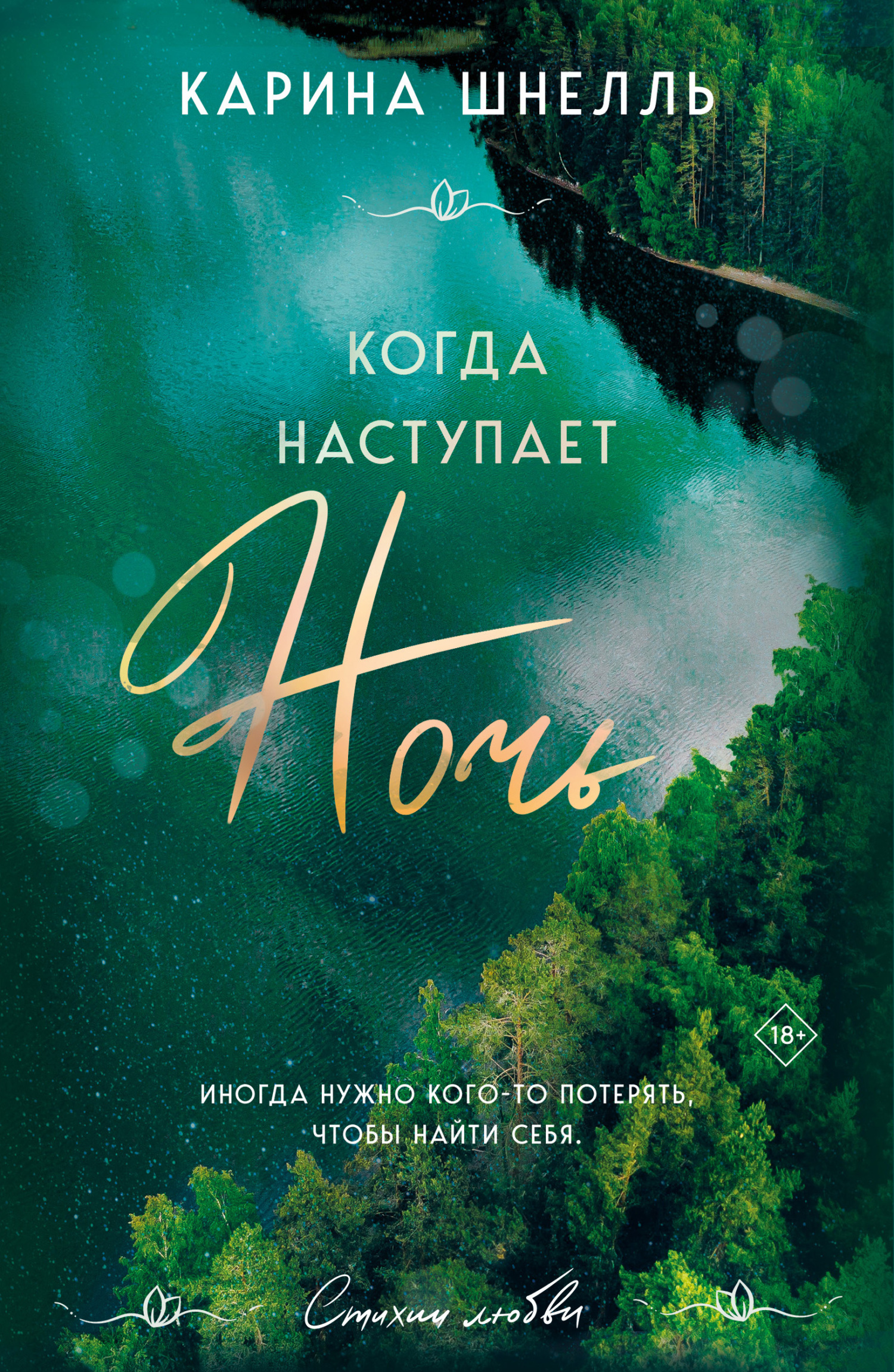 Когда наступает ночь - Карина Шнелль