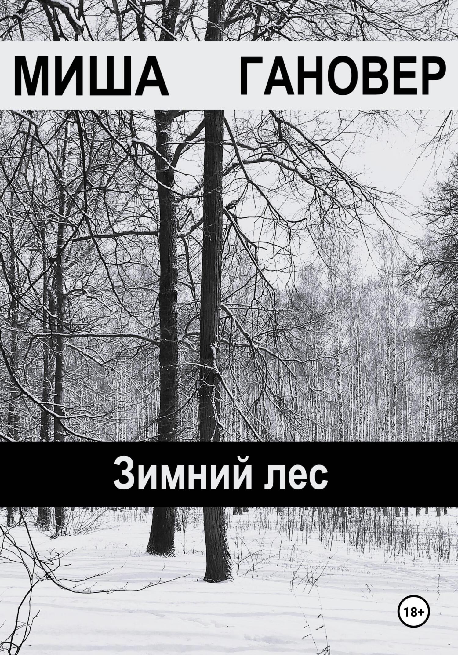 Зимний лес - Миша Гановер