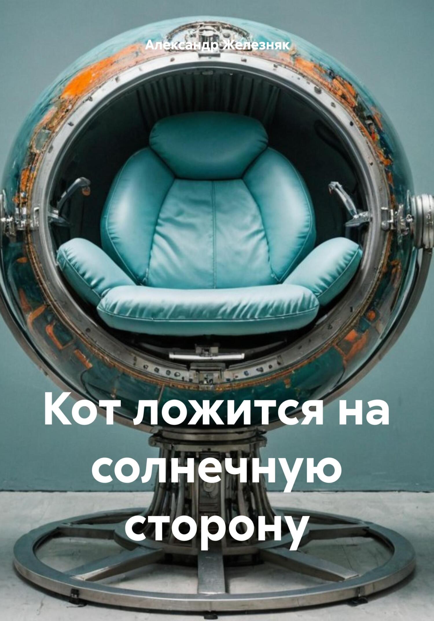 Кот ложится на солнечную сторону - Александр Железняк