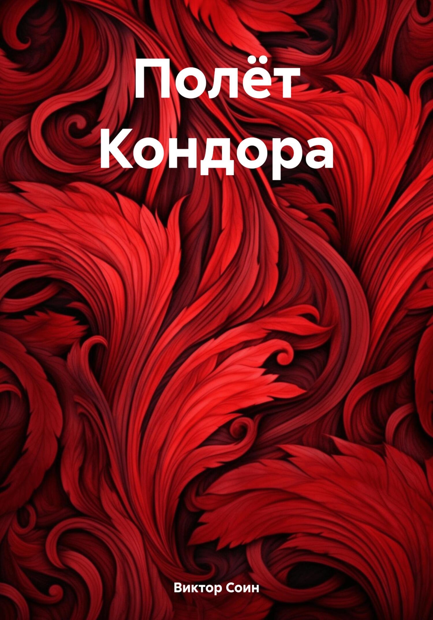 Полёт Кондора - Виктор Викторович Соин