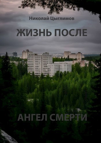 Жизнь после. Ангел Смерти - Н. А. Цыглимов