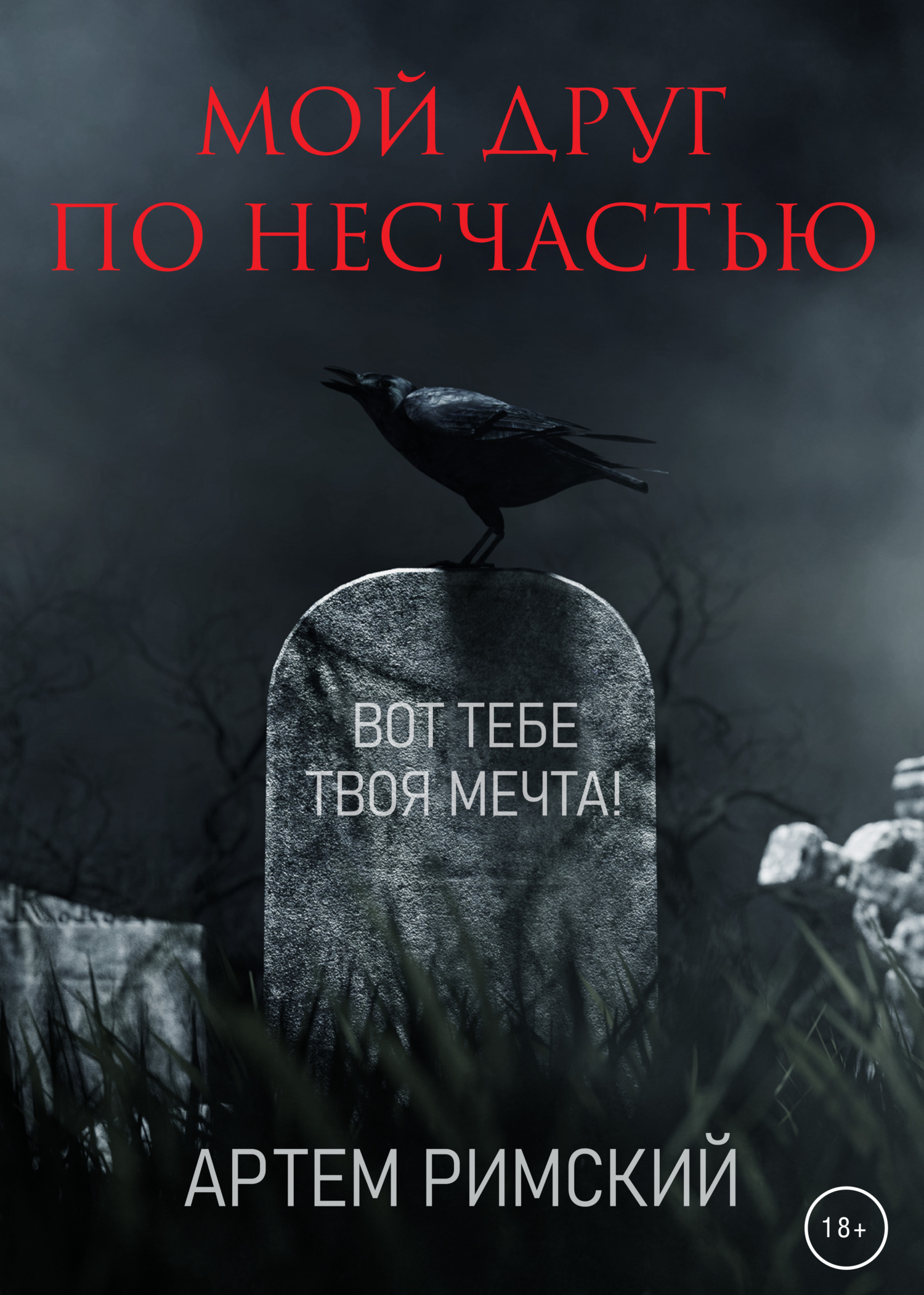 Мой друг по несчастью - Артём Римский