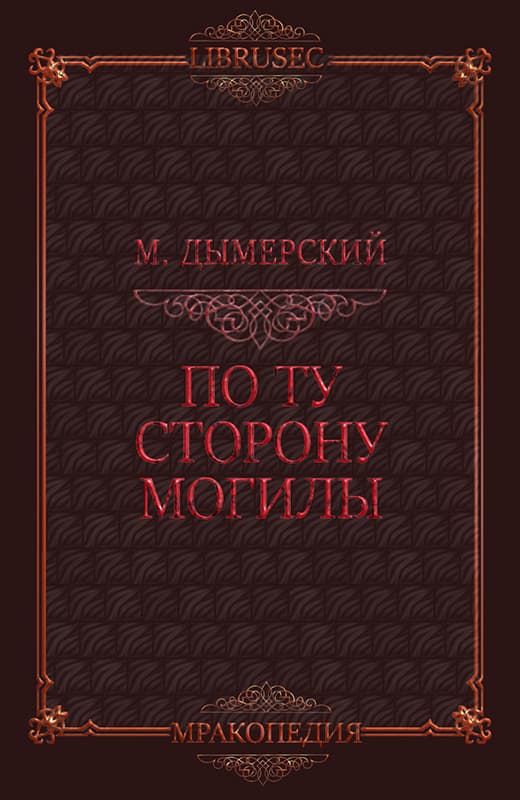 По ту сторону могилы - Мэтт Дымерский
